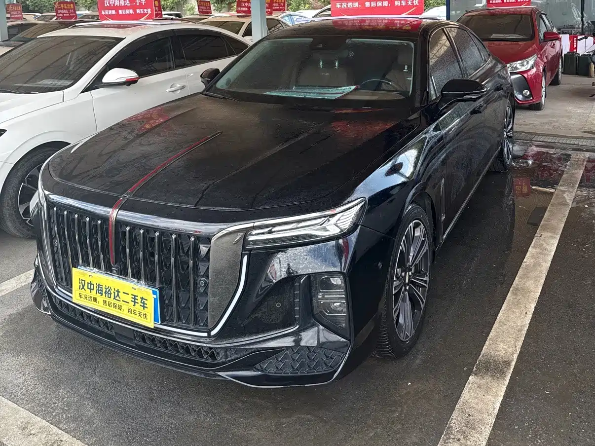 Фото 1 - Hongqi H9