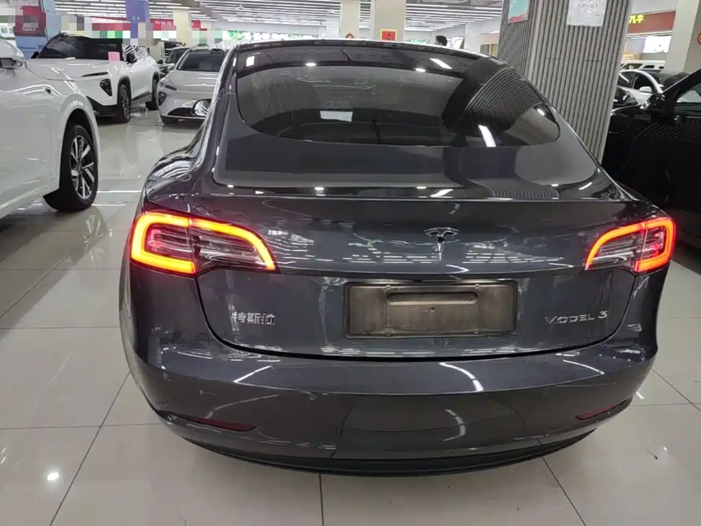Tesla Model 3 2020 2020 Standard Range Rear-Wheel Drive Upgrade
