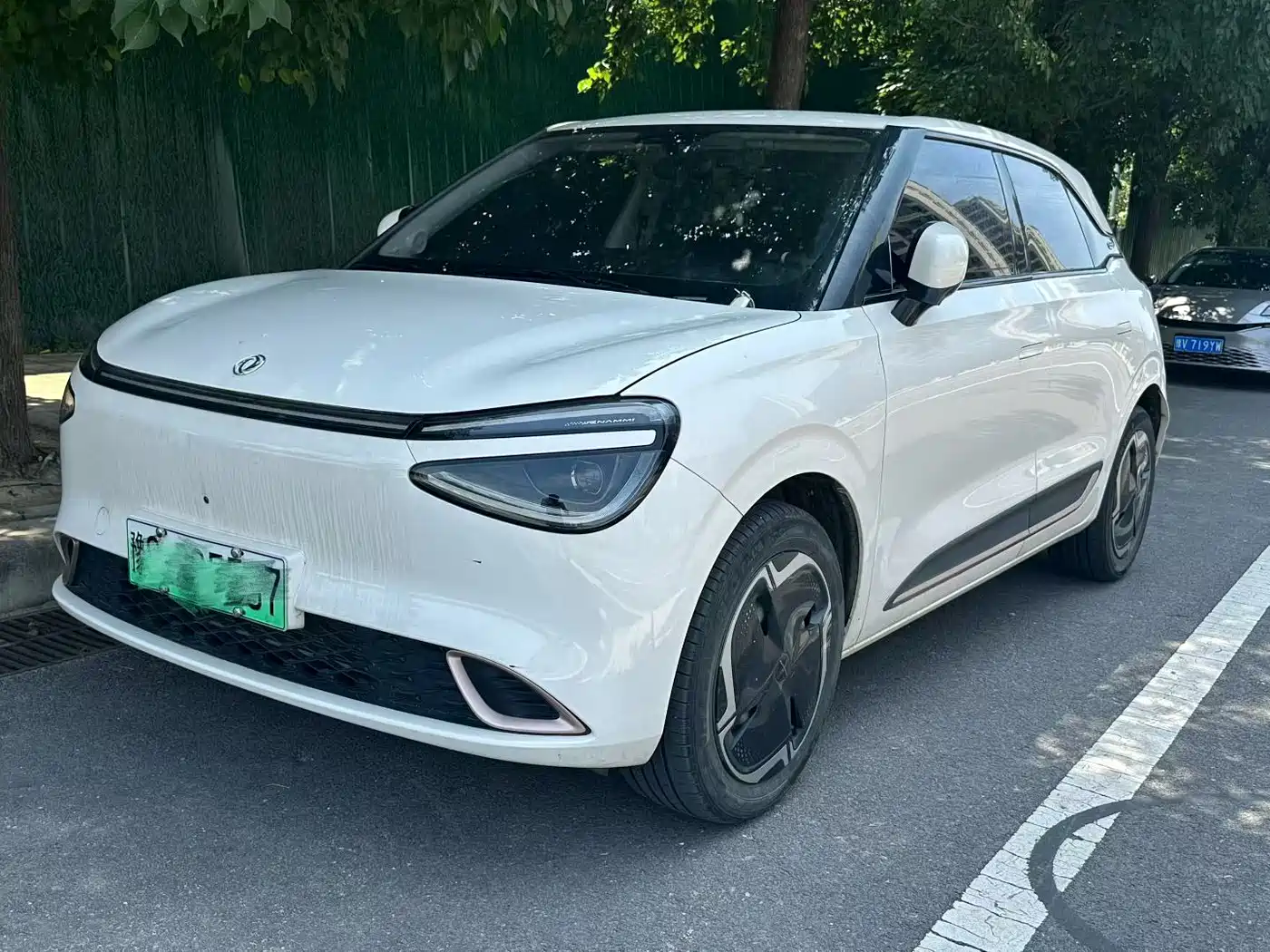 Dongfeng Yipai Nano 01 2024 2024 330 Plus