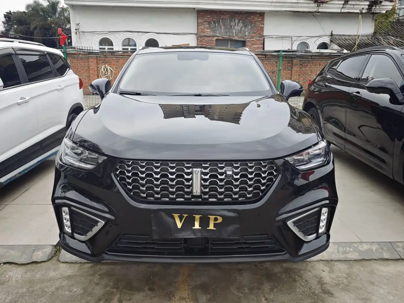 WEI PAI WEI BRAND VV5