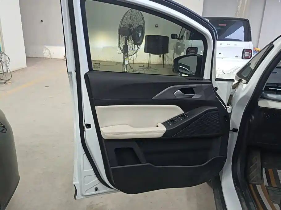 Geely Geometry E Firefly 2024 2024 Model 301km Starlight
