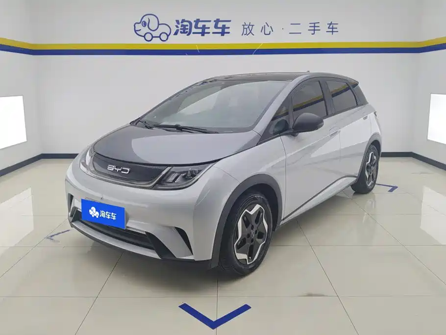 BYD Dolphin 2021