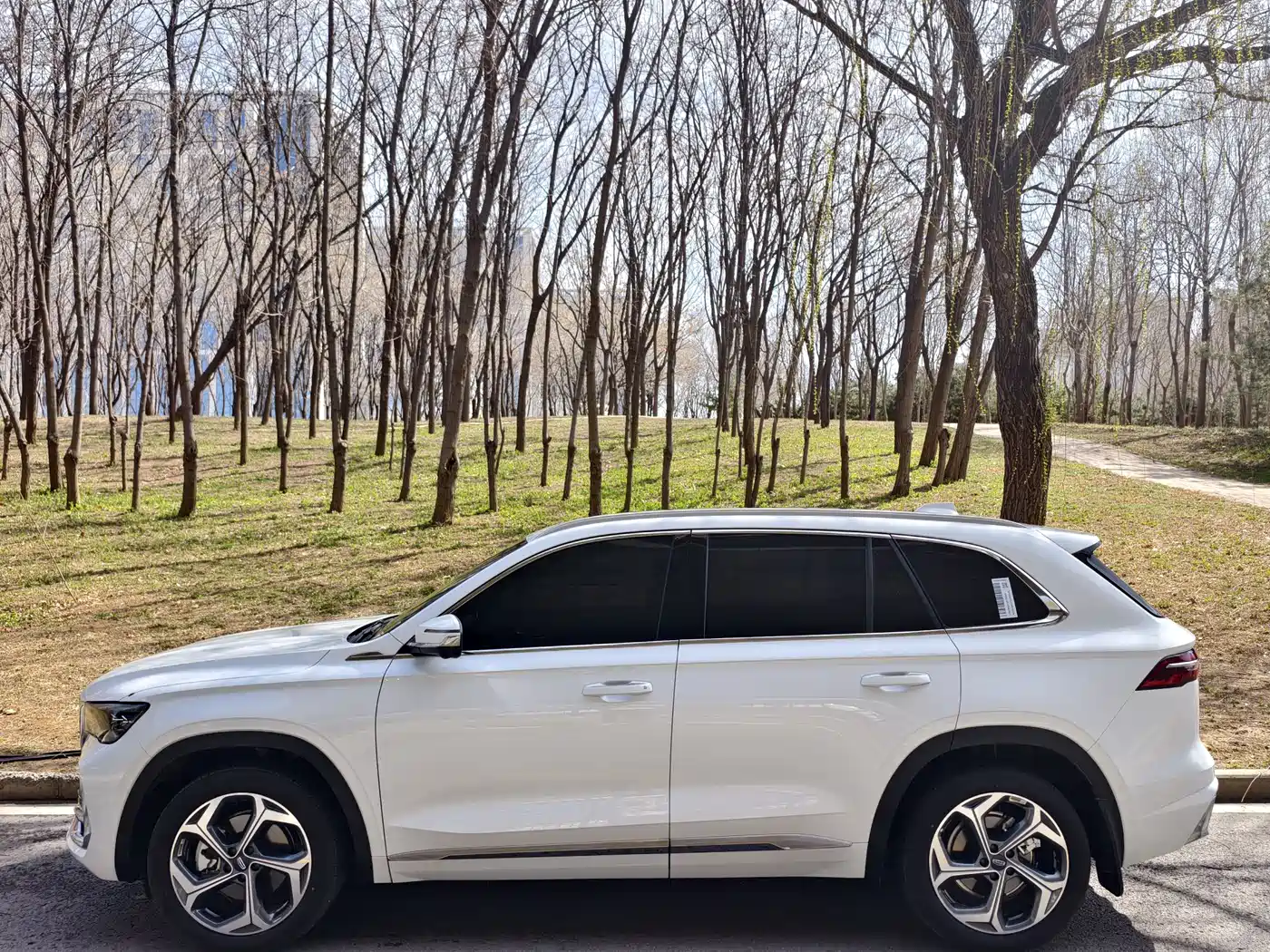 GEELY AUTOMOBILE XINGYUE L