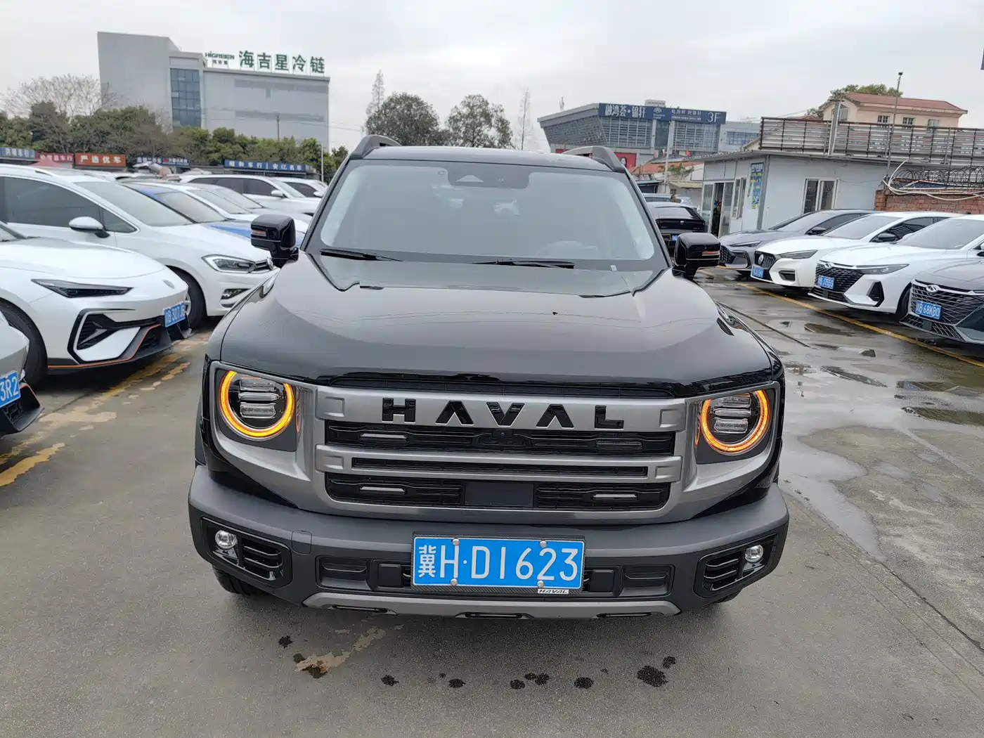 HAVAL BIG DOG