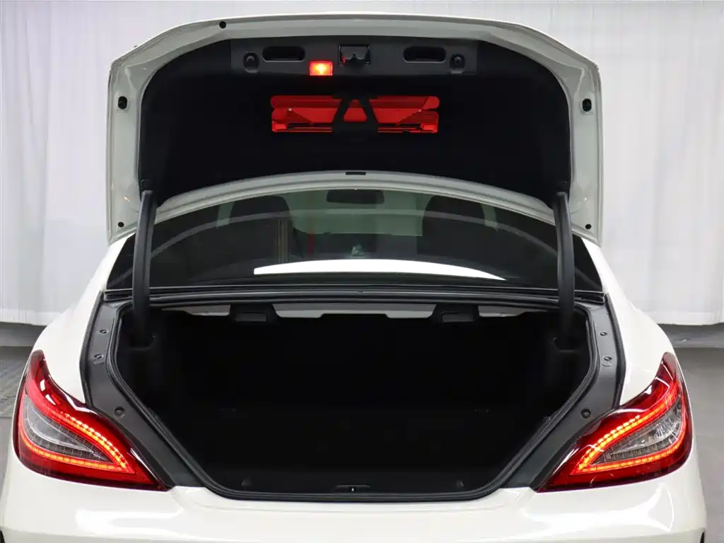 Mercedes-Benz CLS 2016 CLS 320 Edition фото 23