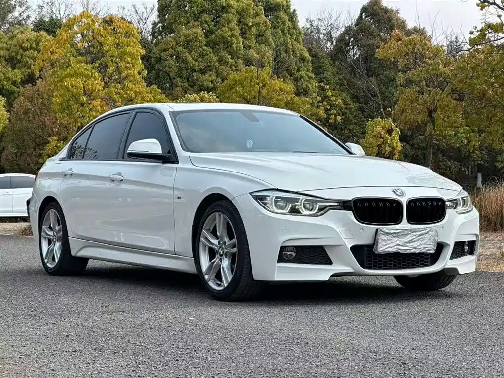BMW 3 Series 2017 320Li M Sport фото 3