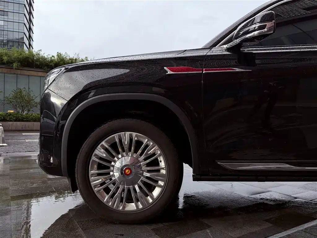 Hongqi HONGQI GUOYAO