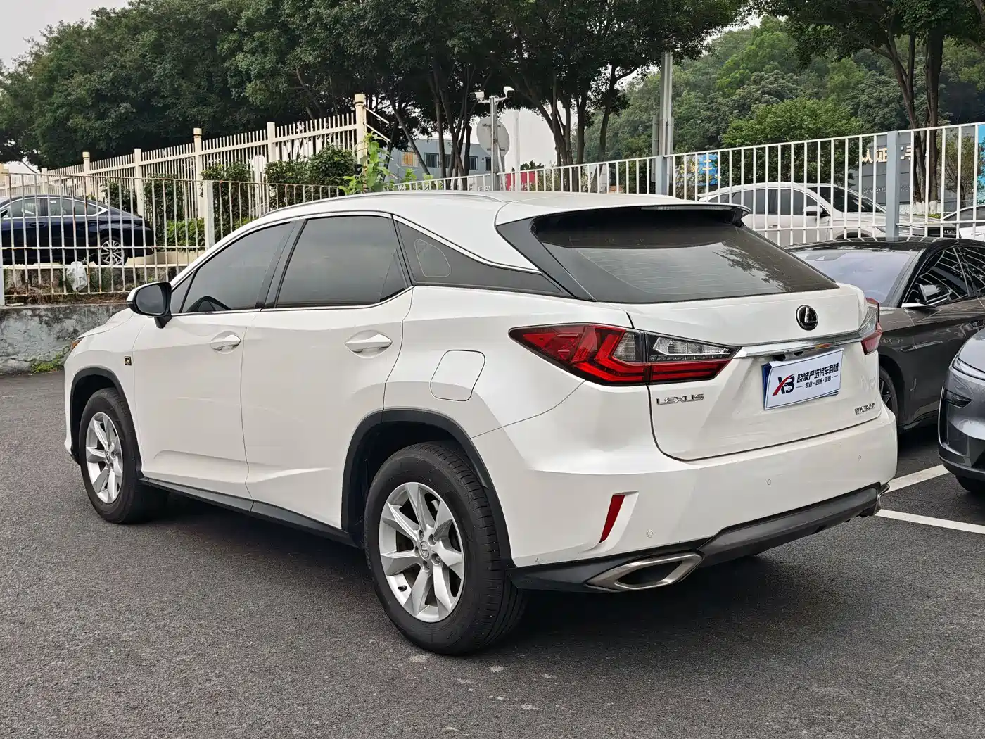 Lexus RX 2016 300 2WD Elite Edition (China V) фото 5