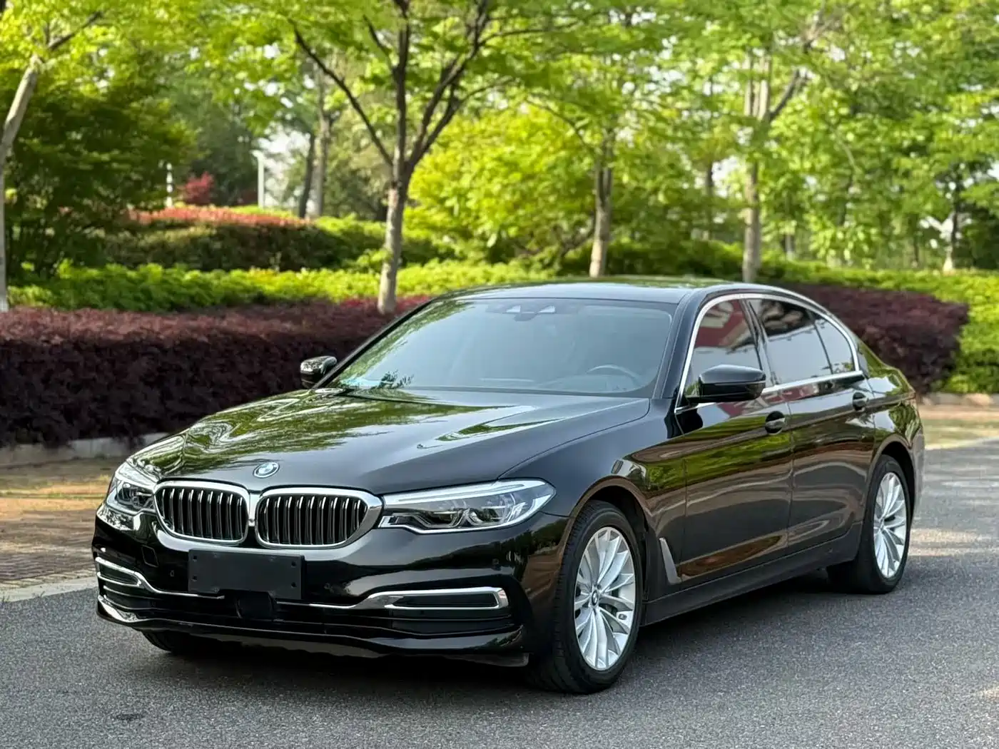 BMW 5 Series 2019 530Li Premium Luxury Package