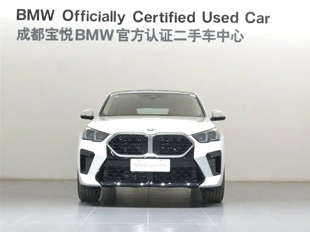 BMW X2 (Import) 2024 sDrive25i M Sport Package фото 2