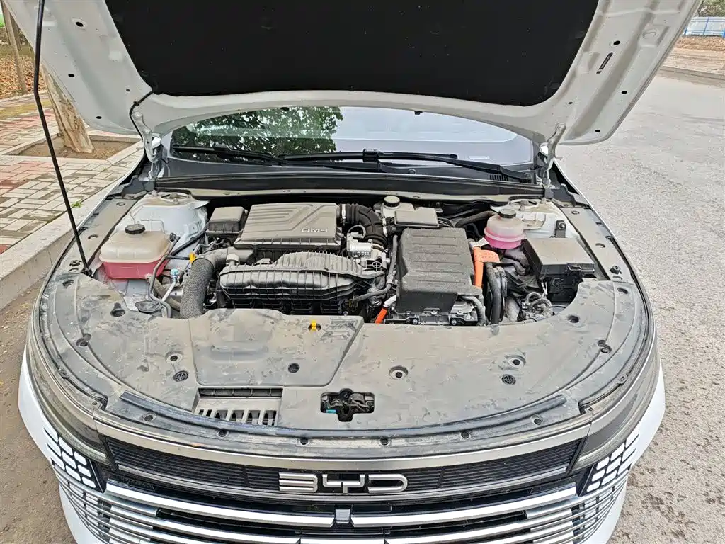 BYD Destroyer 05 2024 Glory Edition DM-i 55KM Luxury фото 16