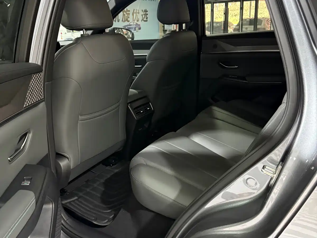 BYD Song Pro New Energy 2026