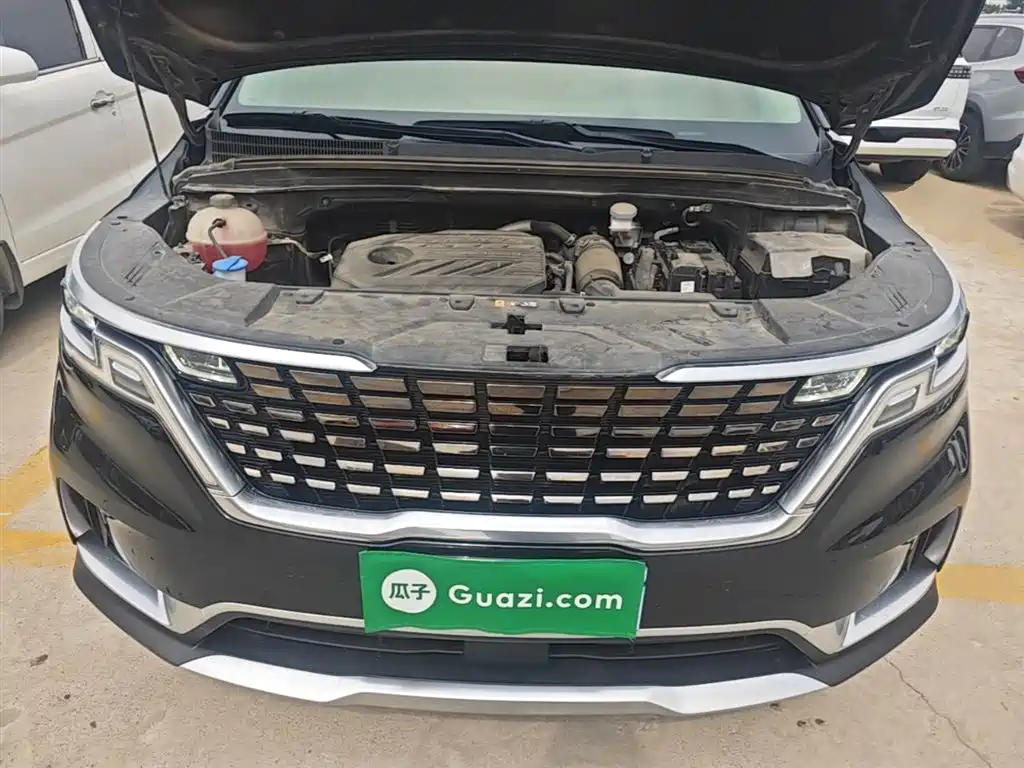 Kia Carnival 2021 2.0T Luxury Edition фото 20