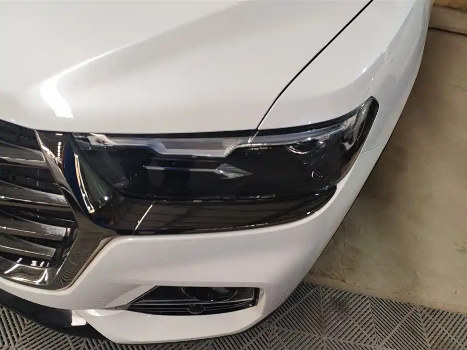 Haval H6 2021 Model National Trend Edition 1.5T Auto Champion фото 5