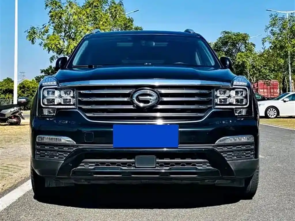 GAC Trumpchi Trumpchi GS8 2017 320T 2WD Luxury Smart Connect (7-seater) фото 2