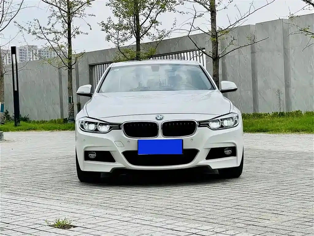 BMW 3 Series 2017 320Li Fashion фото 2