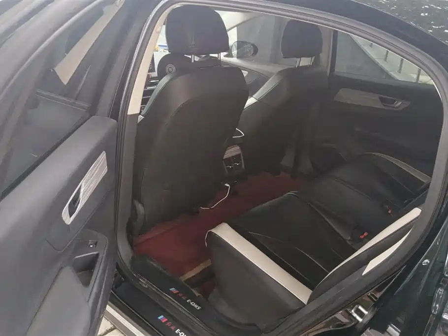 Hongqi E-QM5 2023 620km PLUS фото 11
