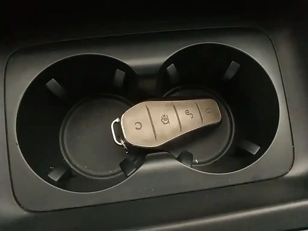 BYD Destroyer 05 2024 Glory Edition DM-i 55KM Luxury фото 9