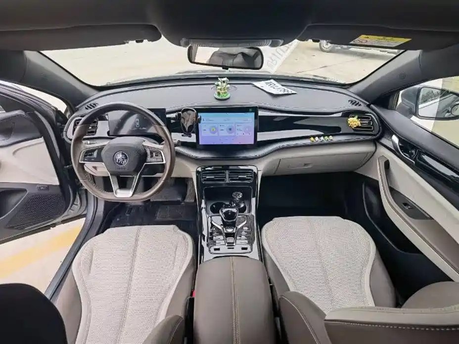 BYD Qin PLUS 2024 Glory Edition DM-i 55KM Leading фото 4