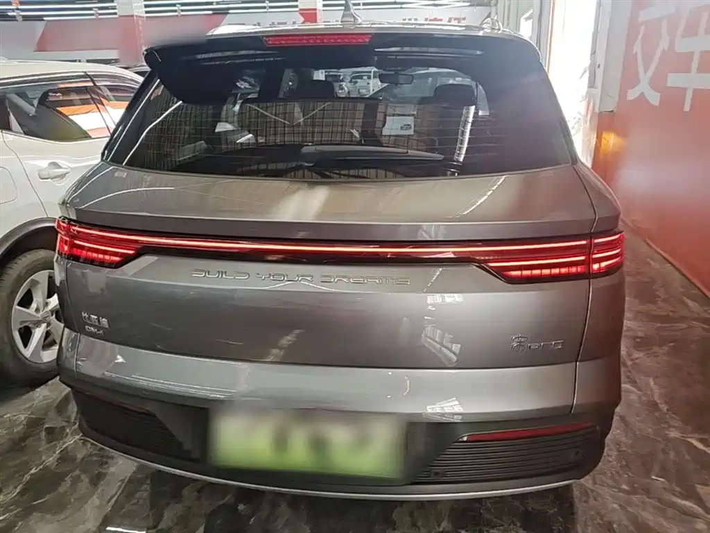 BYD Song Pro New Energy 2024 Glory Edition DM-i 71KM Pilot фото 6