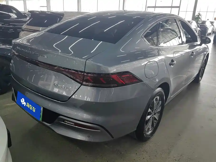 BYD Qin PLUS 2024 Glory Edition DM-i 55KM Leading фото 3