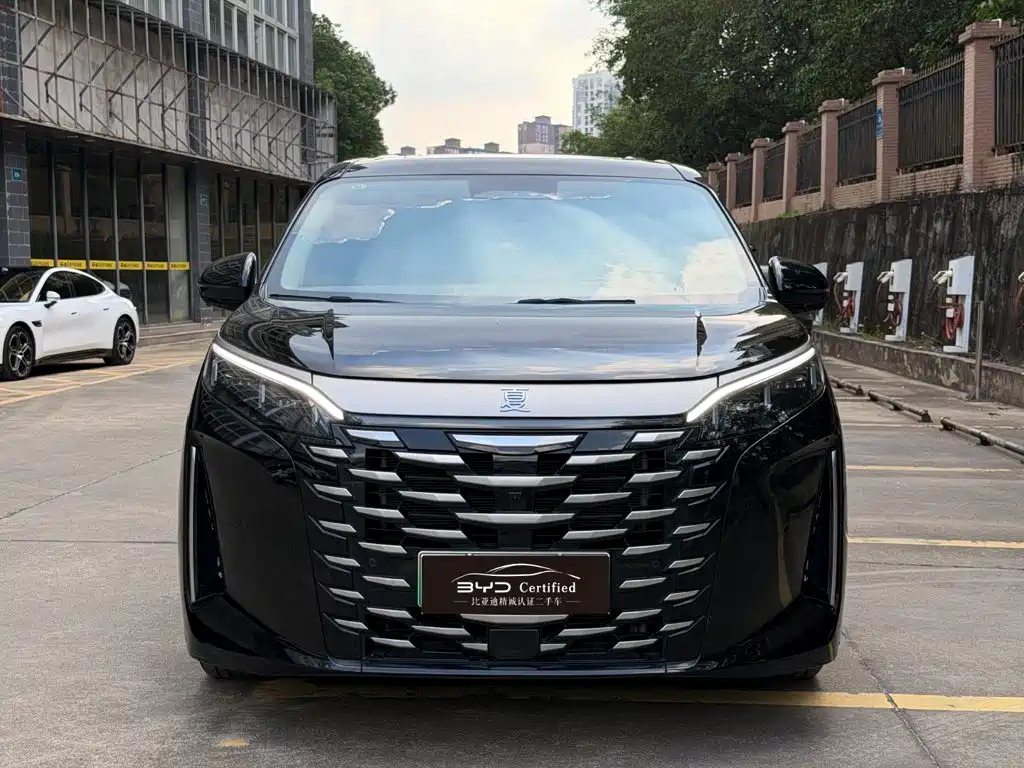Фото 2 - BYD Xia