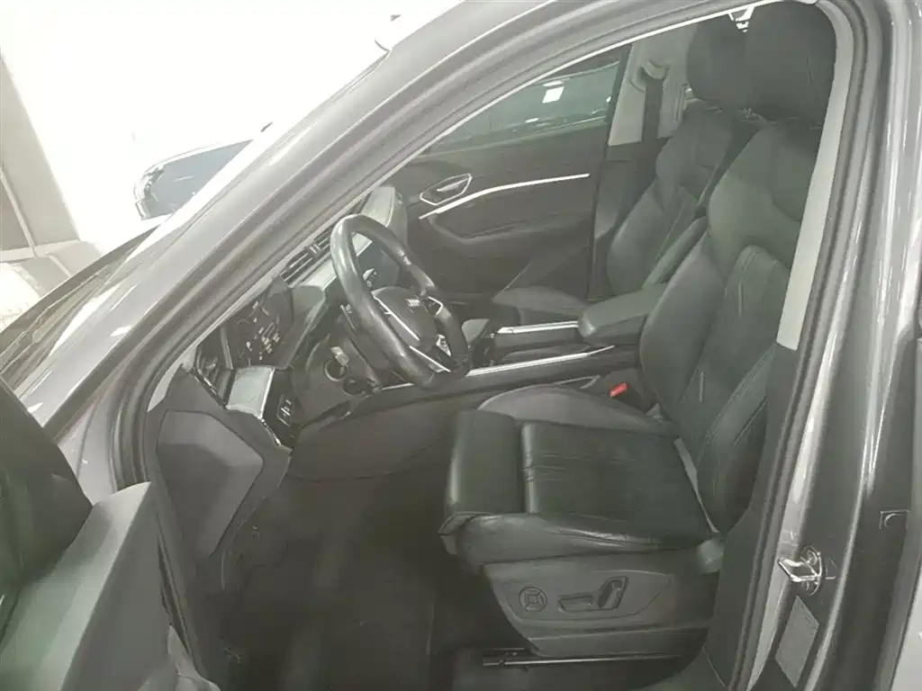 Audi e-tron (Import) 2019 55 quattro Technology фото 15