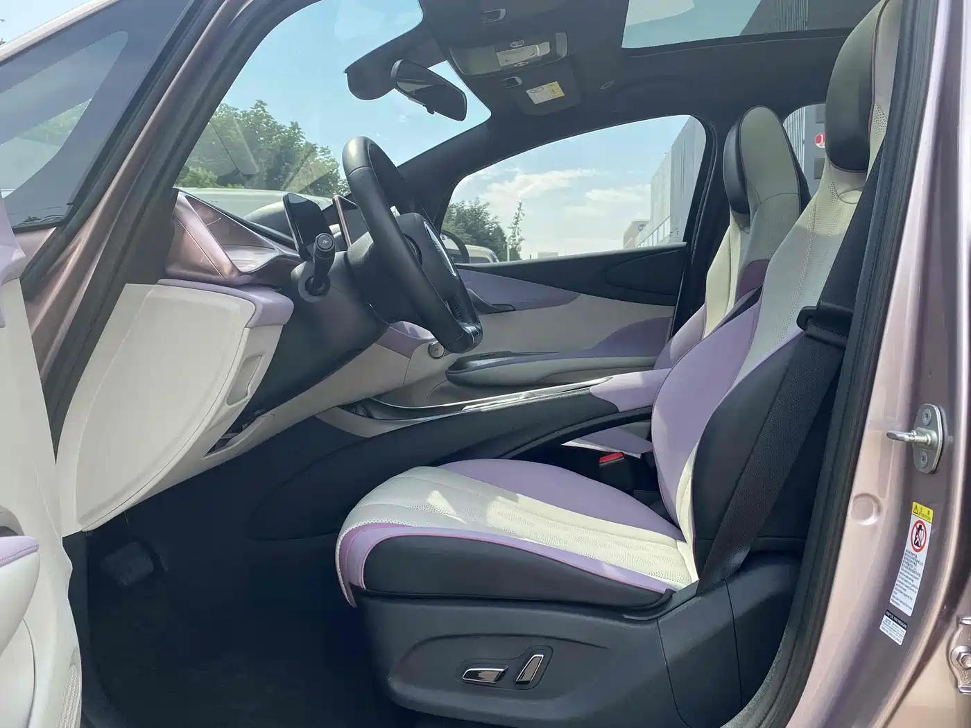 BYD Dolphin 2023 420km Fashion Edition фото 10