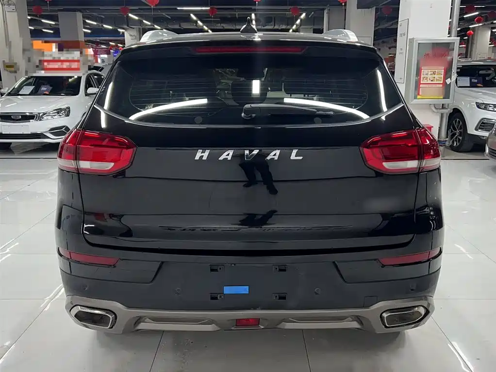 Haval H6 2020 1.5GDIT Automatic Platinum Champion Edition фото 6