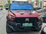 Photo 4 - Mengshi 917