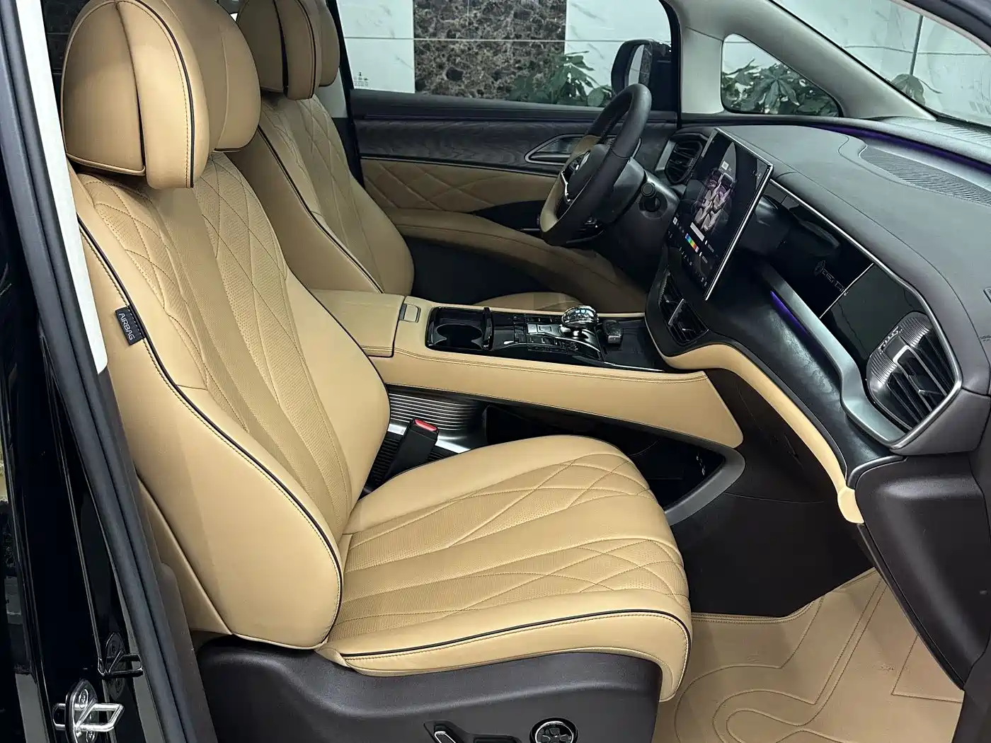 Denza D9 2024 DM-i 980 AWD Premium фото 10