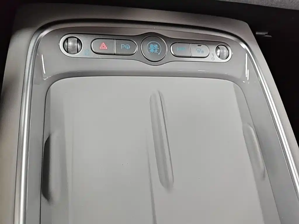 BYD Hai Shi 05 EV 2025 520KM Smart Navigation Edition фото 9