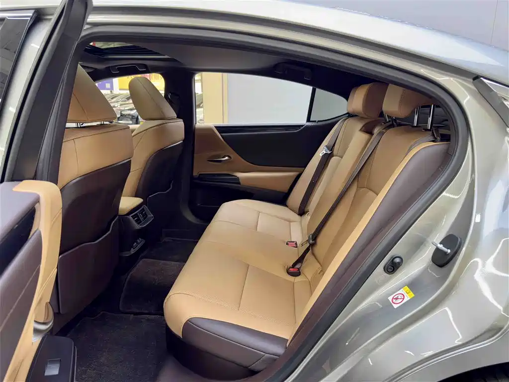 Lexus ES 2018 300h Excellence Edition China VI фото 6