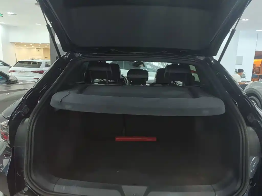 Фото 19 - Volkswagen ID.4 CROZZ