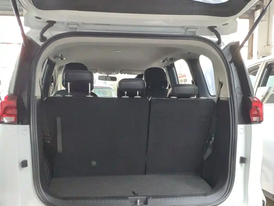 SAIC MAXUS CHASE G50