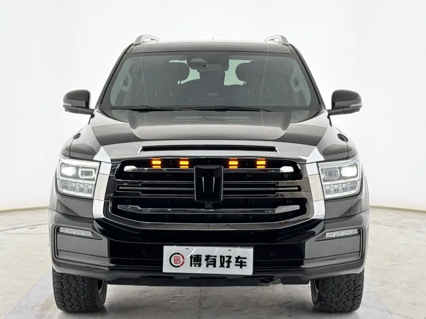 Tank 500 EV 2023 Hi4-T фото 5