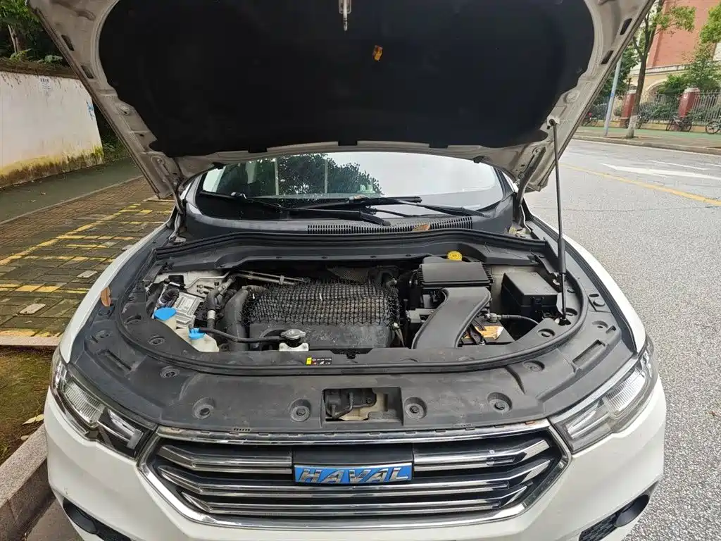 Haval H2s 2017 Blue Label 1.5T DCT Luxury фото 17