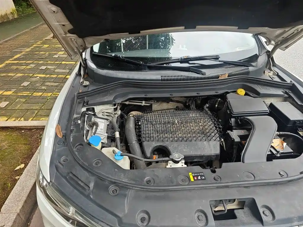 Haval H2s 2017 Blue Label 1.5T DCT Luxury фото 23