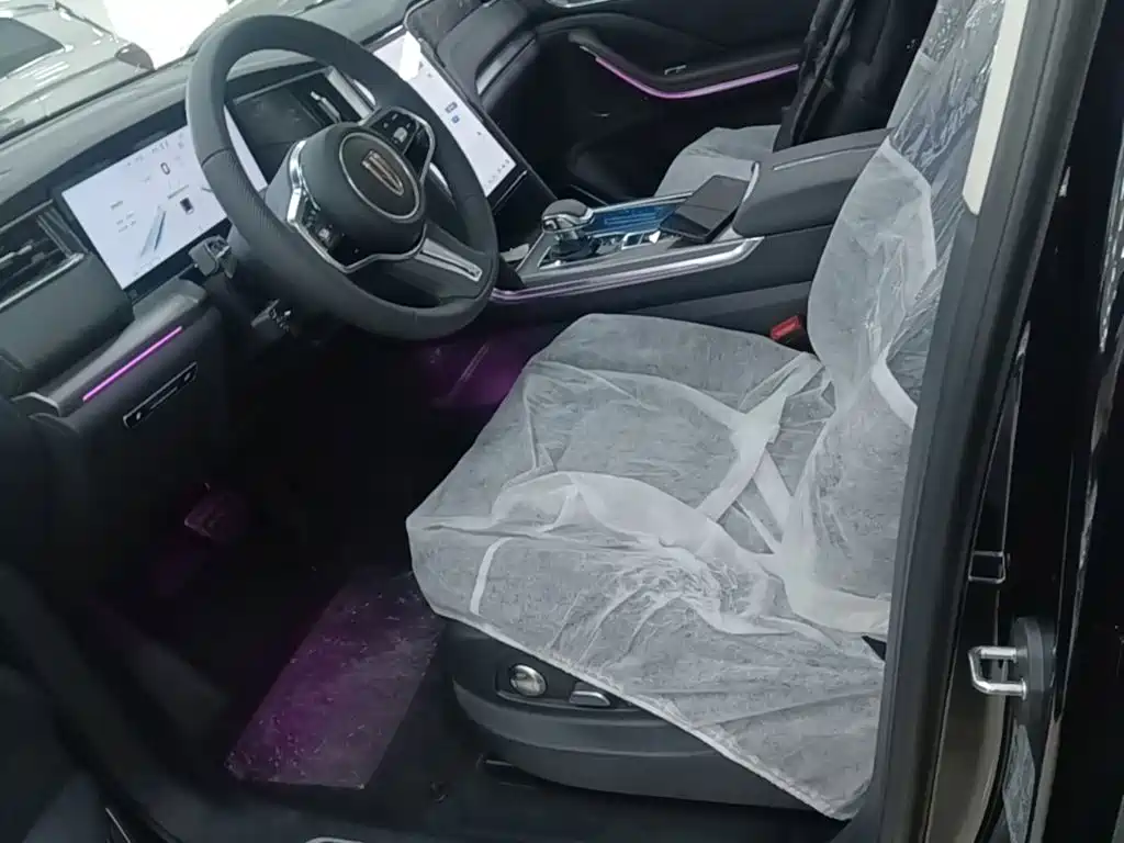 Photo 15 - Hongqi HS7 PHEV
