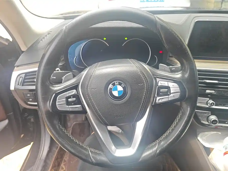 BMW 5 Series 2018 Facelift 530Li Leading Luxury Package фото 15