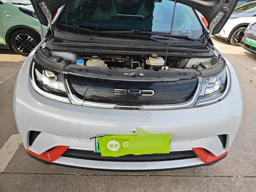 Фото 20 - BYD Dolphin