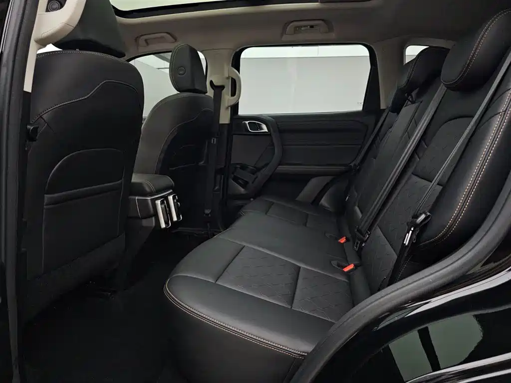 Haval Big Dog 2024 1.5T DCT Border Collie Edition фото 14