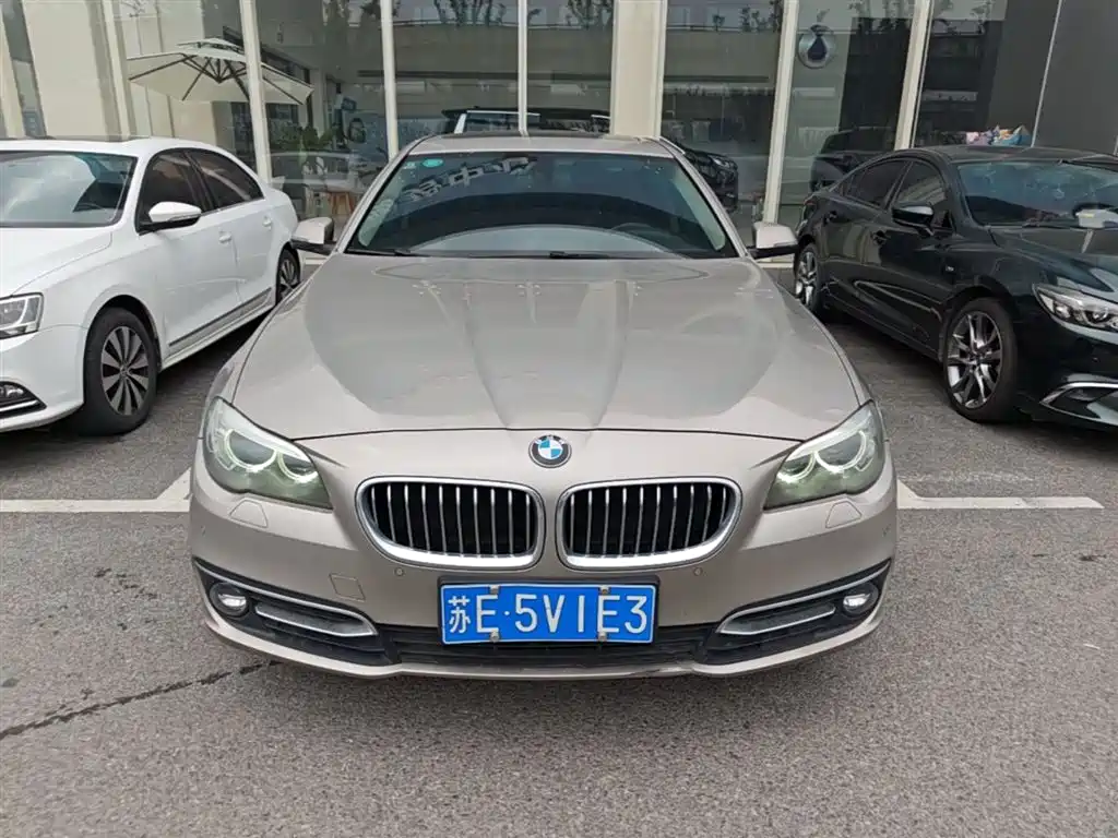 BMW 5 Series 2017 525Li Luxury Design Package фото 5