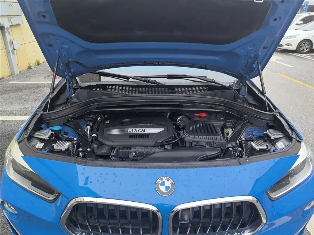 BMW X2 (Import) 2019 sDrive20i M Off-Road Package China VI фото 20