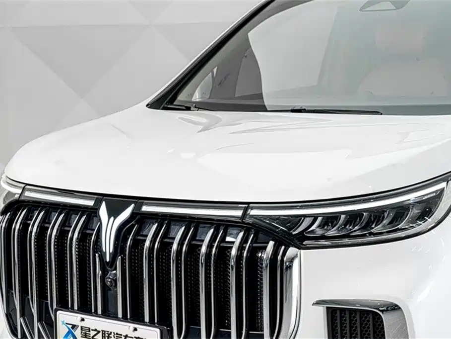 Voyah Auto Voyah Dreamer 2024 PHEV Extended Range Premium Edition фото 4