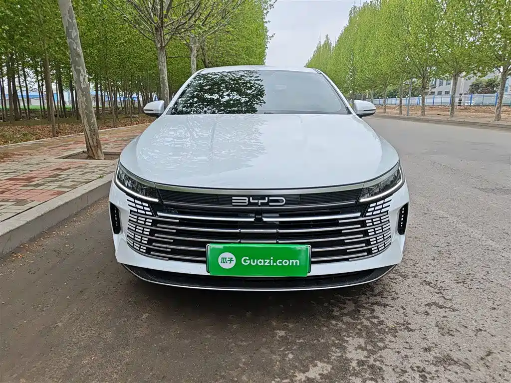 BYD Destroyer 05 2024 Glory Edition DM-i 55KM Luxury фото 3