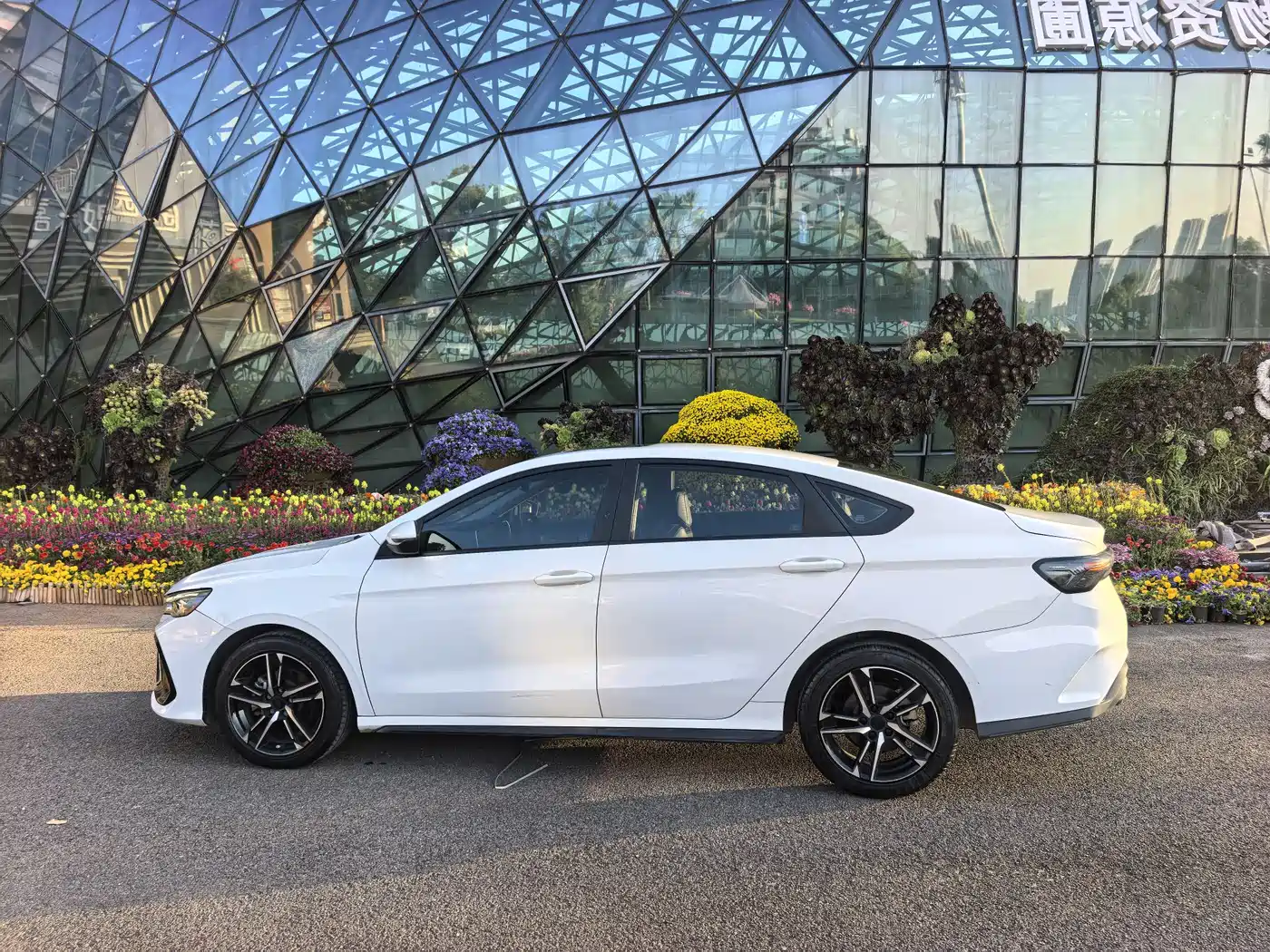 GEELY AUTOMOBILE BINRUI