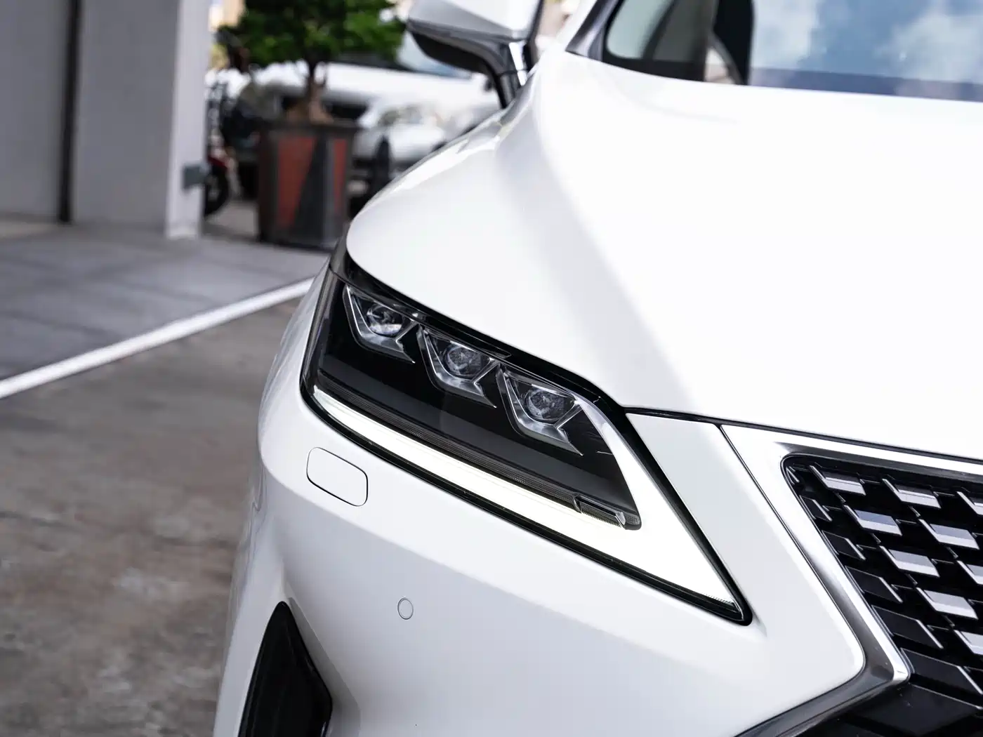 LEXUS RX