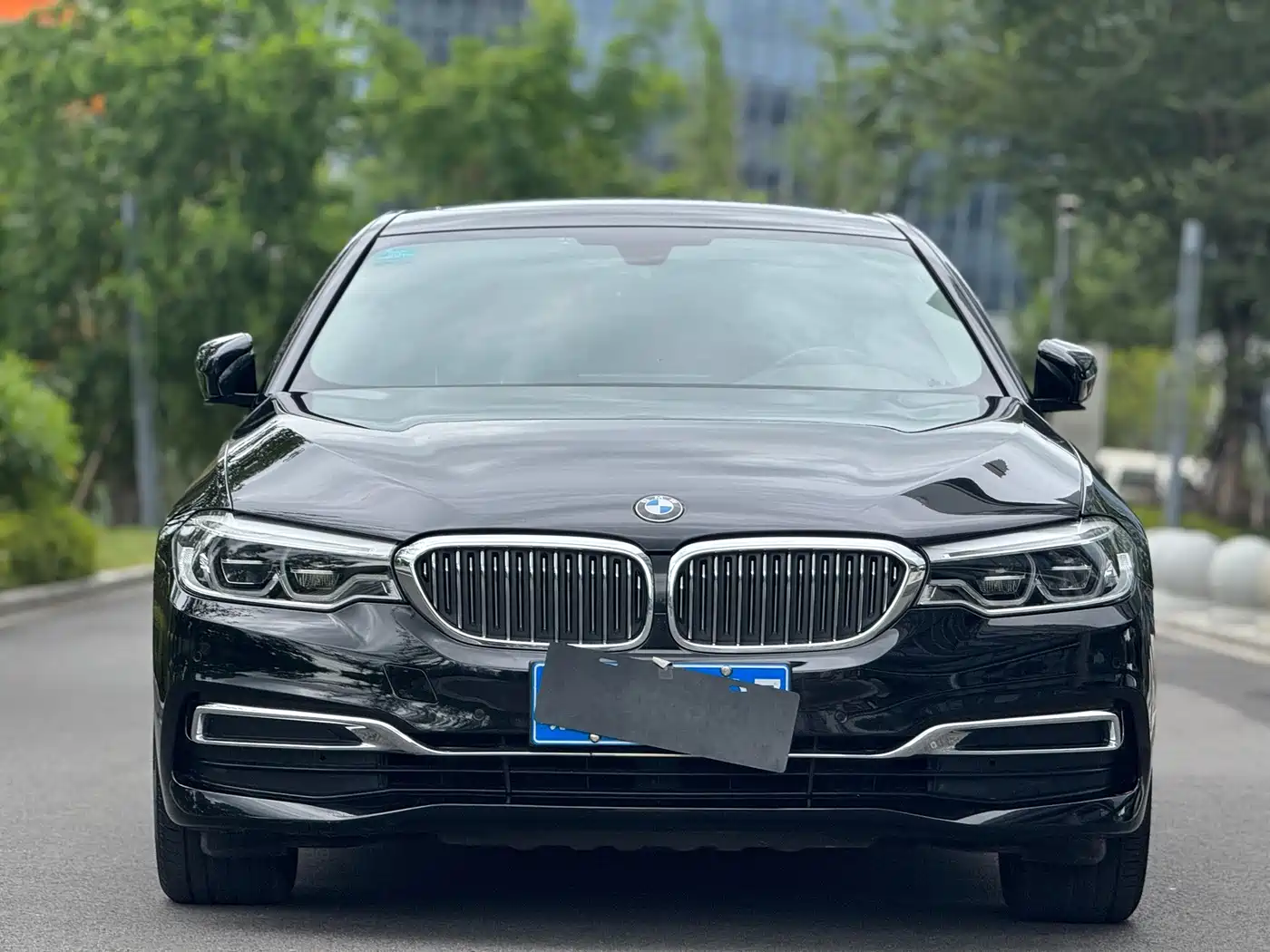 BMW 5 Series 2018 530Li xDrive Luxury Package фото 2