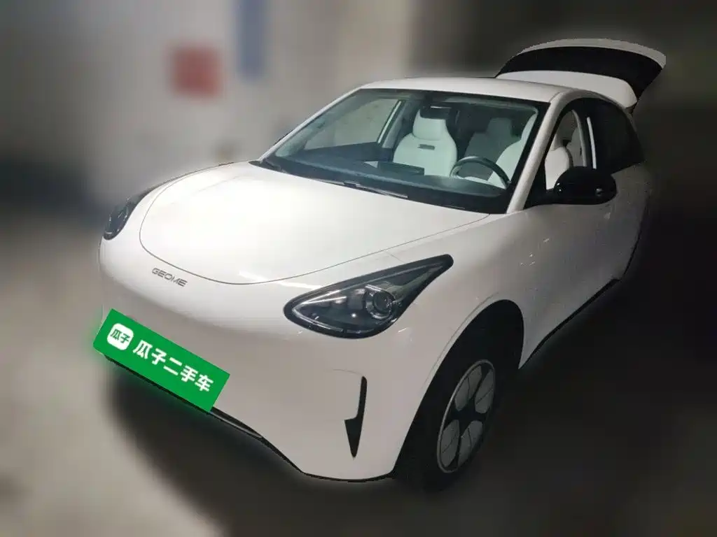 Geely Galaxy Starry Wish 2025 310km Youth Edition